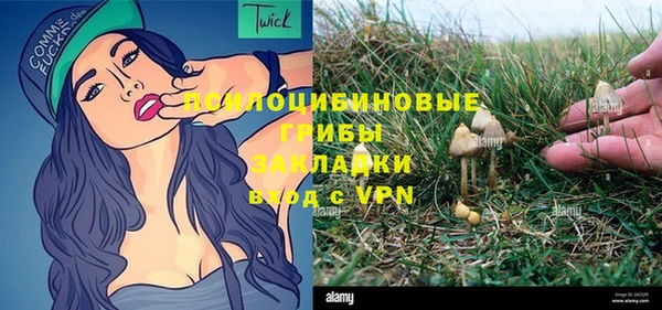 прущие крисы Протвино
