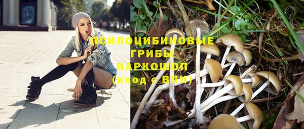 гашик Абаза