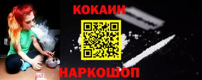 гашик Дмитров