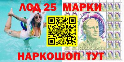 гашик Дмитров