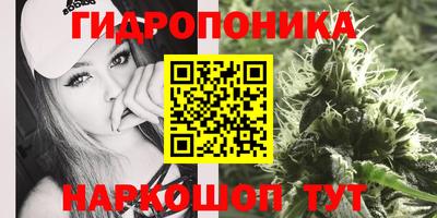 гашик Дмитров