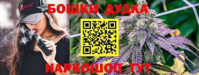 гашик Дмитров