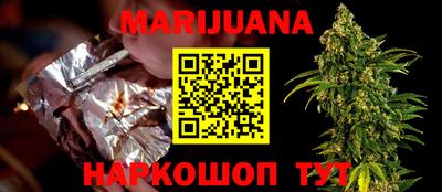 гашик Дмитров