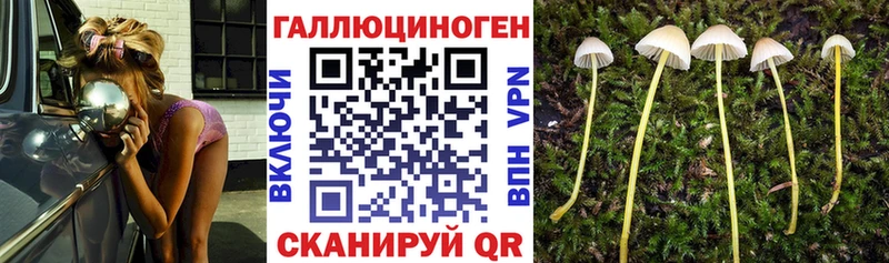 сколько стоит  Мегион  Галлюциногенные грибы MAGIC MUSHROOMS 