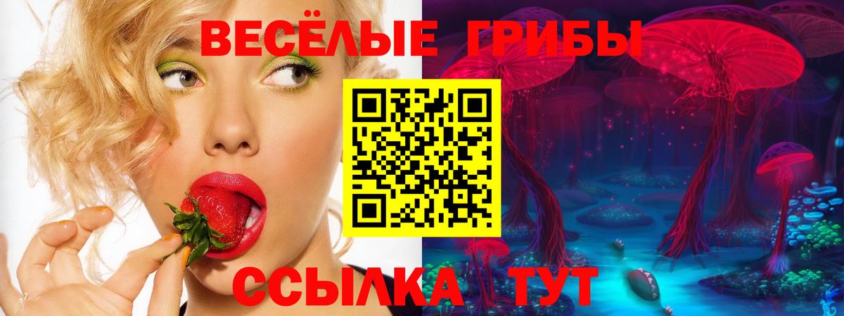 Псилоцибиновые грибы мицелий Мегион