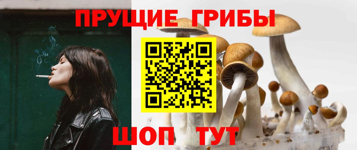 цены наркотик  Галлюциногенные грибы GOLDEN TEACHER  Псилоцибиновые грибы мицелий  Вход с VPN  Мегион 